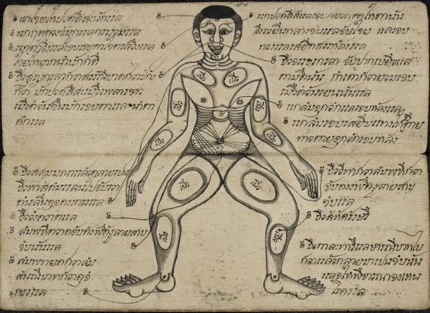 語学+参考書 Art of Traditional Thai Massage WHITE LOTUS BOOKS - Art of Traditional Thai Massage, The